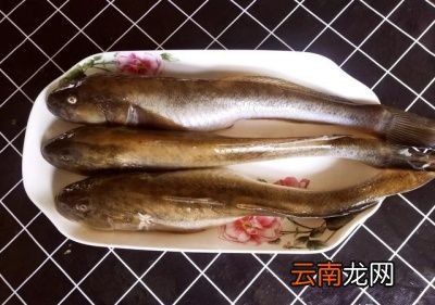 吃什么海鲜对身体好