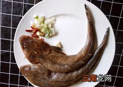 吃什么海鲜对身体好