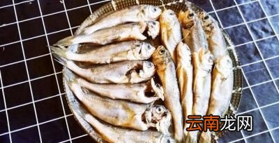 吃什么海鲜对身体好