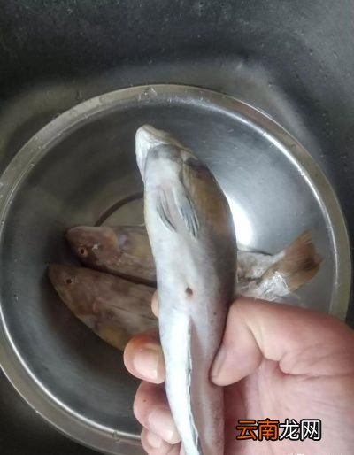 吃什么海鲜对身体好