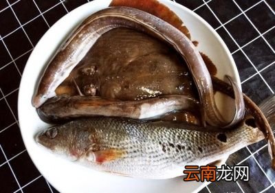吃什么海鲜对身体好