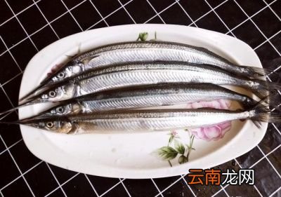 吃什么海鲜对身体好