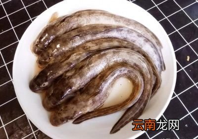 吃什么海鲜对身体好