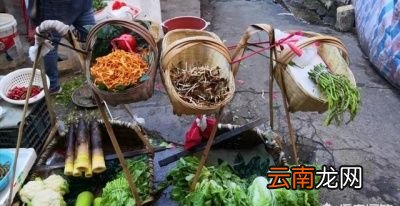 虫草花配什么材料煲汤