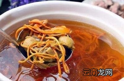 下面介绍一些虫草花汤的种类和做法以及疗效