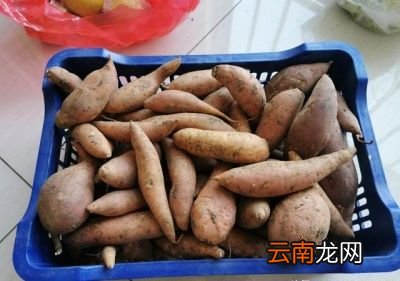 地瓜怎么做好吃