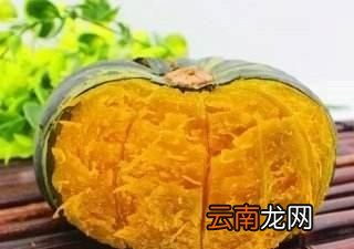 这么好看又好吃的板栗南瓜要如何种植呢