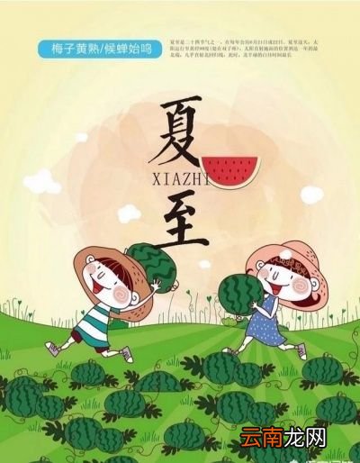 夏至时节应该如何养生
