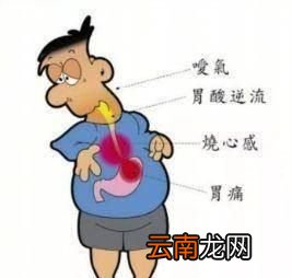 为什么柠檬能起到燃烧脂肪的效果