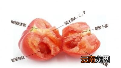 圣女果是转基因吗