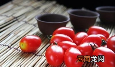 圣女果是转基因吗