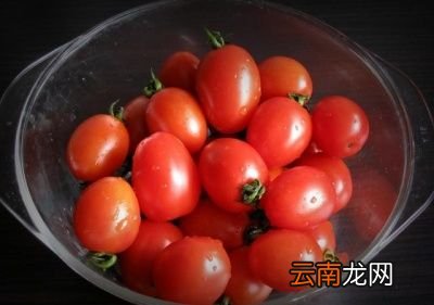 圣女果是转基因吗