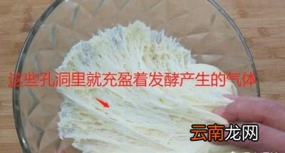 泡打粉和酵母可以互相取代吗