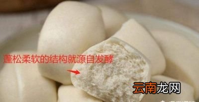 泡打粉和酵母可以互相取代吗