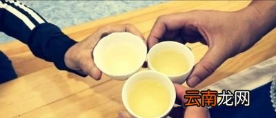 如何来判断那些茶来放冰箱那些茶不放冰箱呢