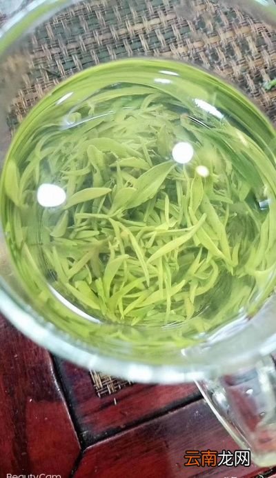 茶叶要不要放冰箱里