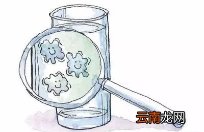 开水的保质期只有16个小时吗