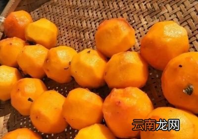 做柿饼如何挑选柿子很关键