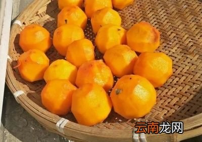 做柿饼如何挑选柿子很关键