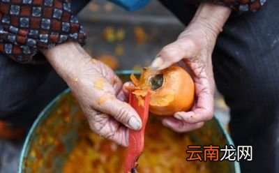 一做柿饼为什么要剥皮