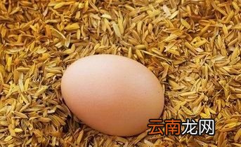 成年人一周吃几个鸡蛋最合适