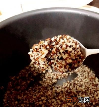 适合减肥需求的藜麦做法