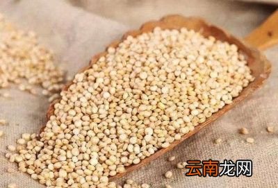 藜麦的做法举例