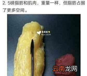 不知道什么是「减肥的原理」