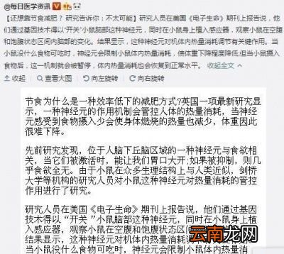 不知道什么是「减肥的原理」