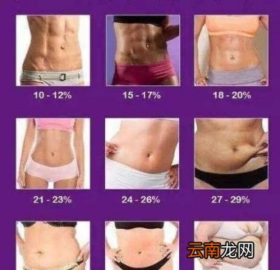 不知道什么是「减肥的原理」
