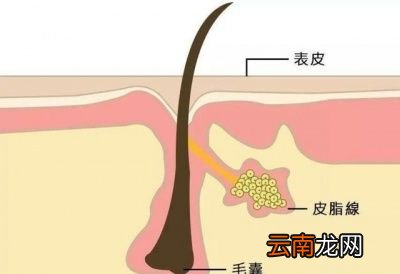 画完眉毛特别容易脱妆的主要原因