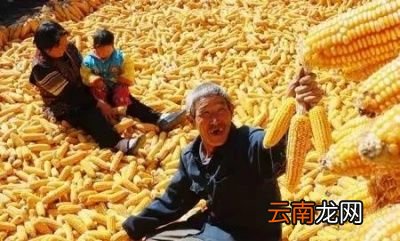 今年立秋过后天气还会继续炎热吗