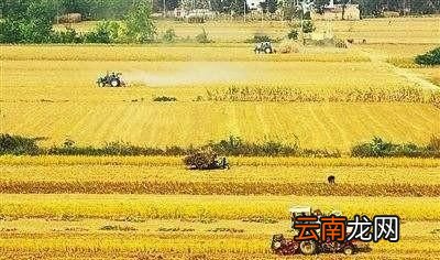 为什么会出现六月或者七月立秋今年何时立秋