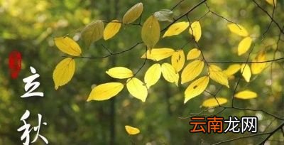 为什么会出现六月或者七月立秋今年何时立秋