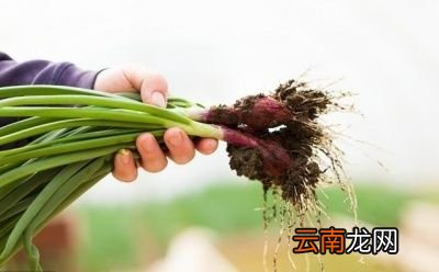 什么是“七月立秋慢悠悠”