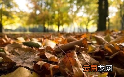 什么是“七月立秋慢悠悠”