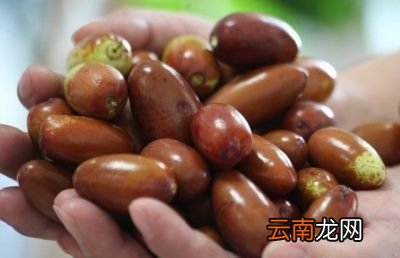 什么是“七月立秋慢悠悠”