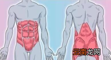 我们先来看看标准的平板支撑应该怎么做