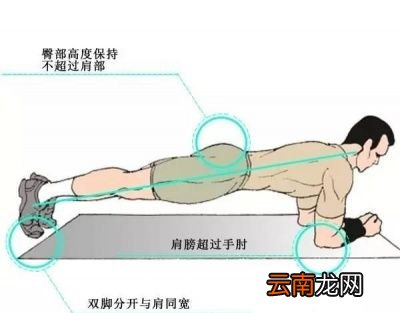 我们先来看看标准的平板支撑应该怎么做