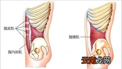 怎样动态平板支撑练成腹肌