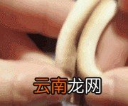 散粉与粉饼哪个更持久