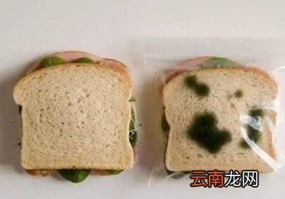 什么是食物的保质期