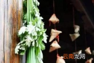 你家还有端午节插艾草的习俗吗