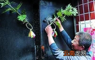 你家还有端午节插艾草的习俗吗