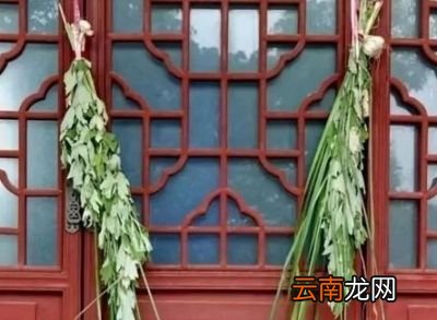 你家还有端午节插艾草的习俗吗