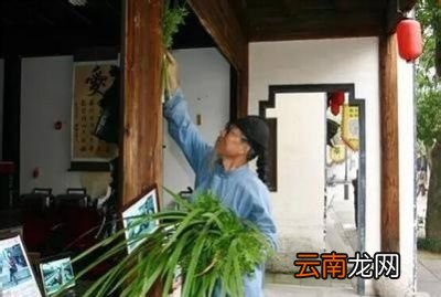 插上门头的艾草什么时候可以拿下来呢