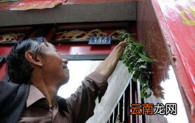插上门头的艾草什么时候可以拿下来呢