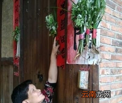 插上门头的艾草什么时候可以拿下来呢