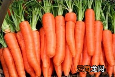 胡萝卜怎么吃才有营养