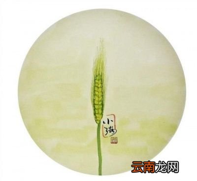 为什么叫“小满”